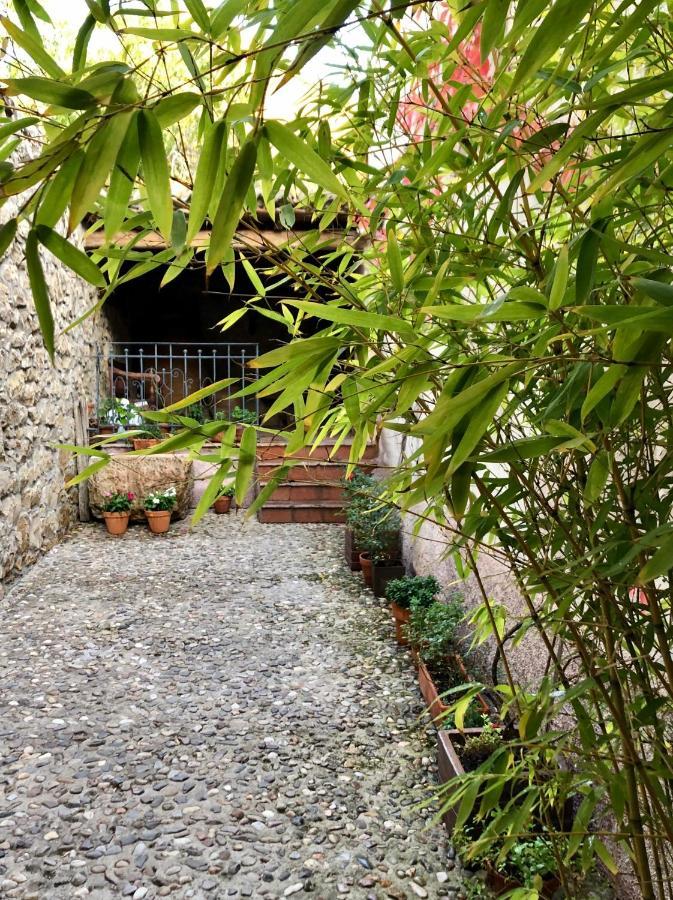 La Posada De Lola El Molar Eksteriør billede